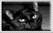 Stamp 2